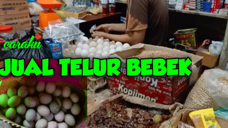 Cara Jual Telur Bebek, Yuk Lakukan Disini !