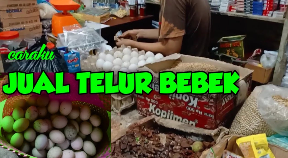 Cara Jual Telur Bebek, Yuk Lakukan Disini !